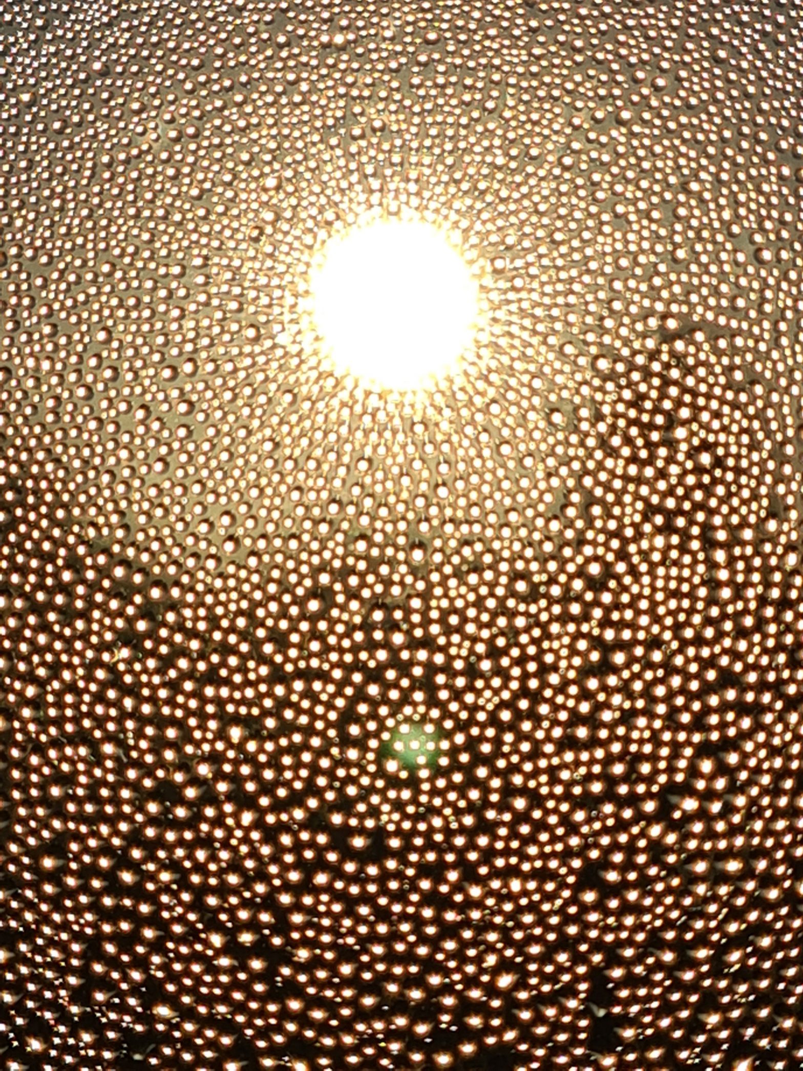 thomas jaroschek – sonnentau